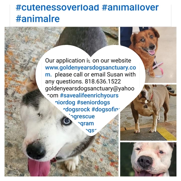 Meet your Posher, Stefie๐ฆ๐๐ฆ - Picture 3 of 9